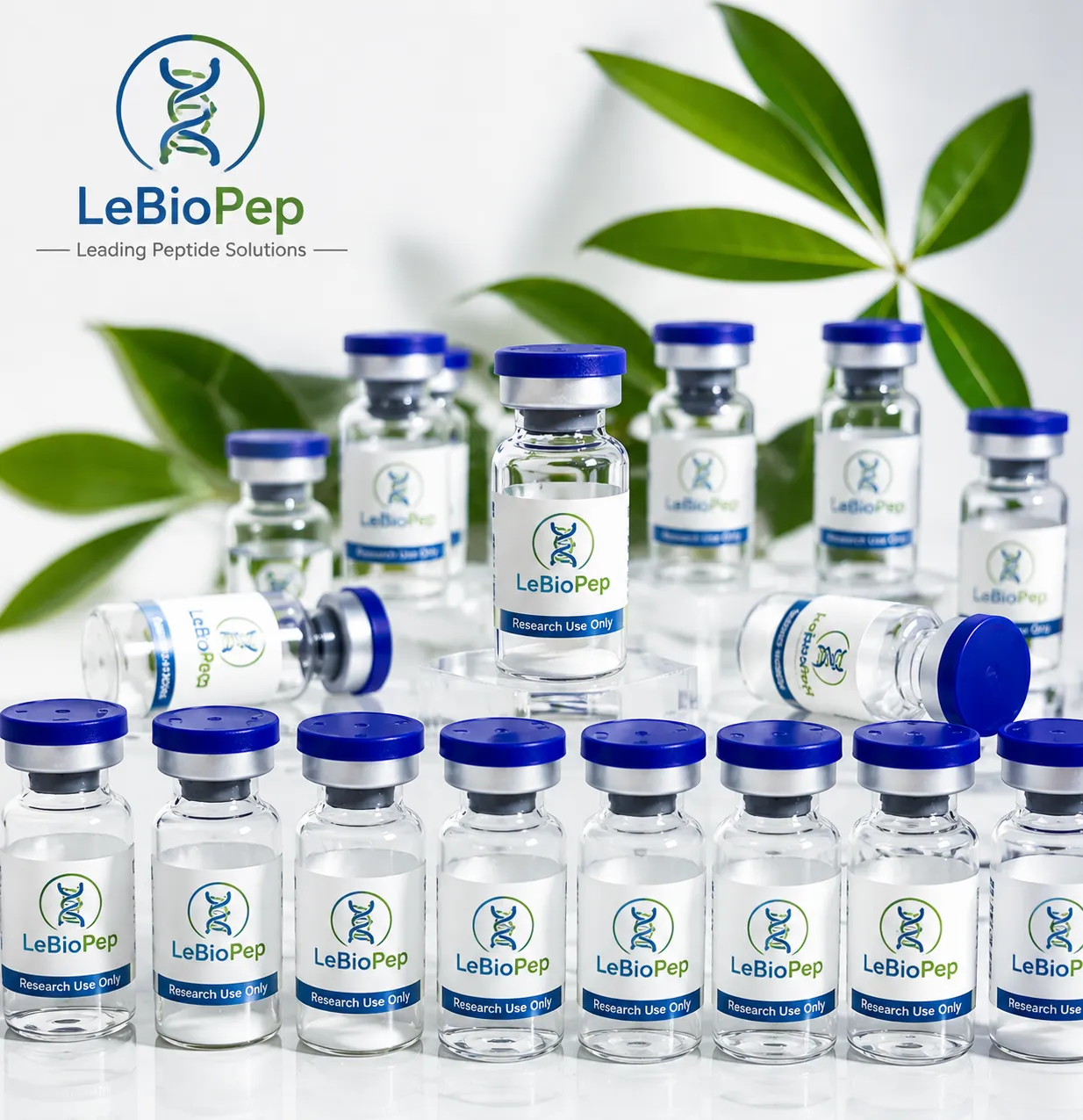 LeBioPeptide team